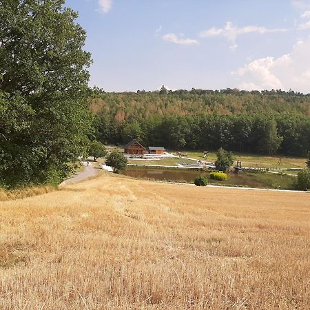 Residenz Moselstausee Sankt Aldegund Buitenkant foto