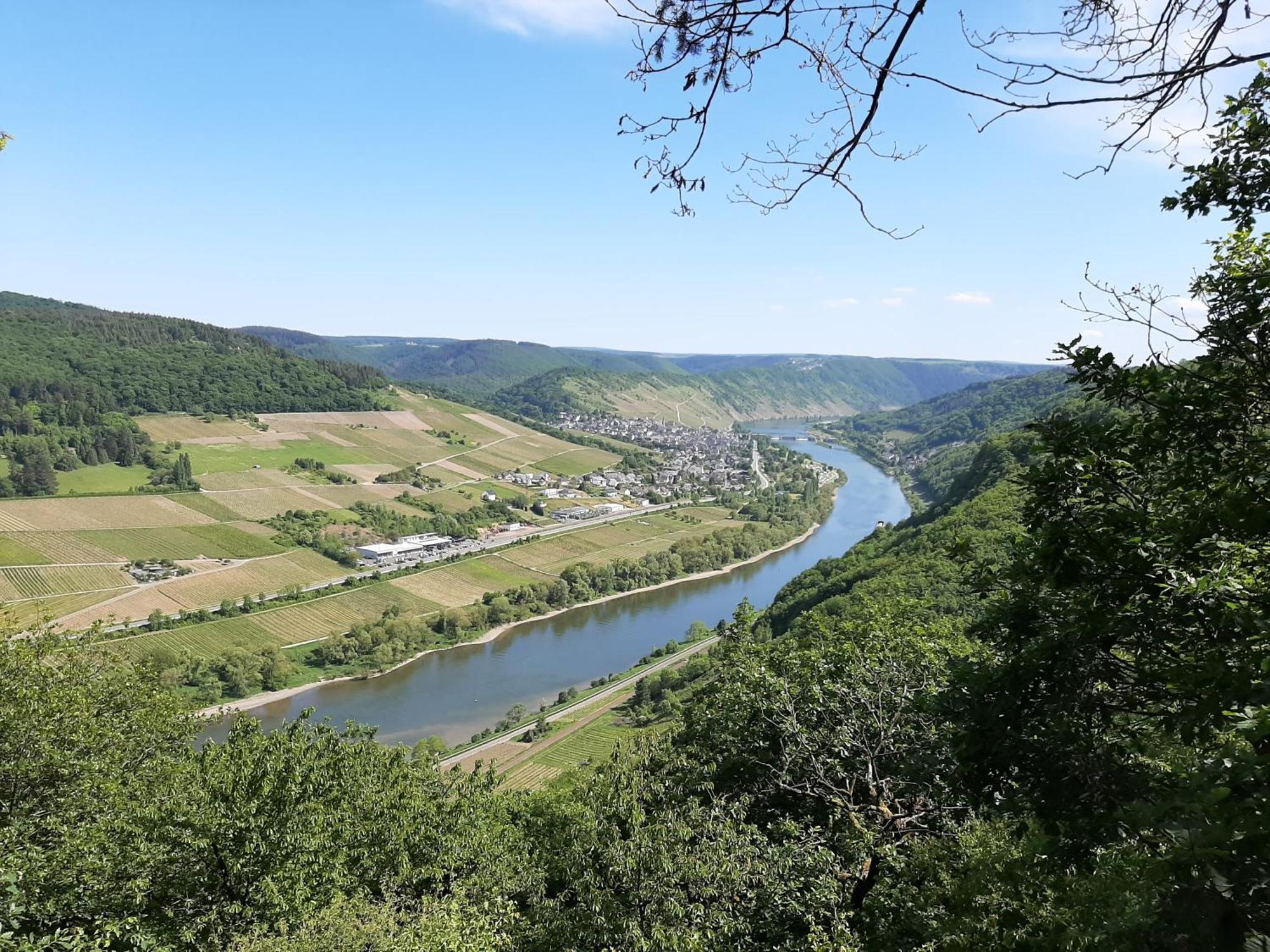 Residenz Moselstausee Sankt Aldegund Buitenkant foto