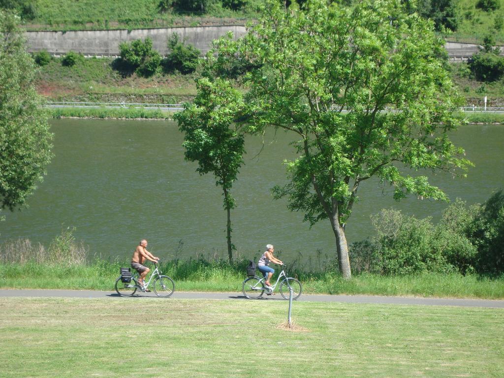 Residenz Moselstausee Sankt Aldegund Buitenkant foto