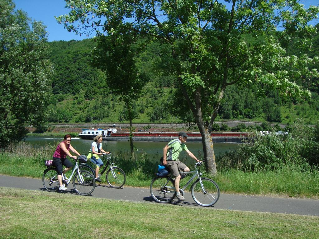 Residenz Moselstausee Sankt Aldegund Buitenkant foto